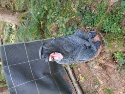 IMG_20251018_150716957